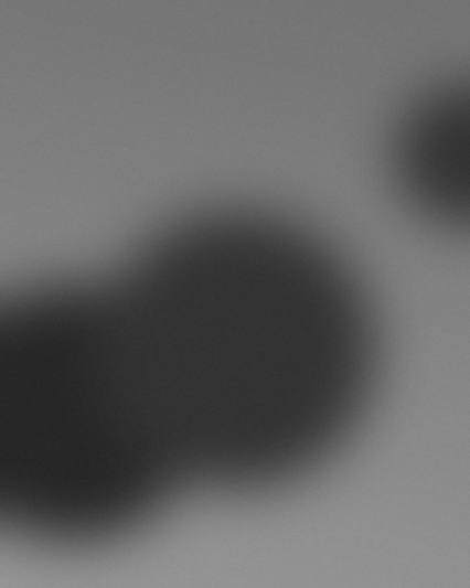 Placeholder frame 16